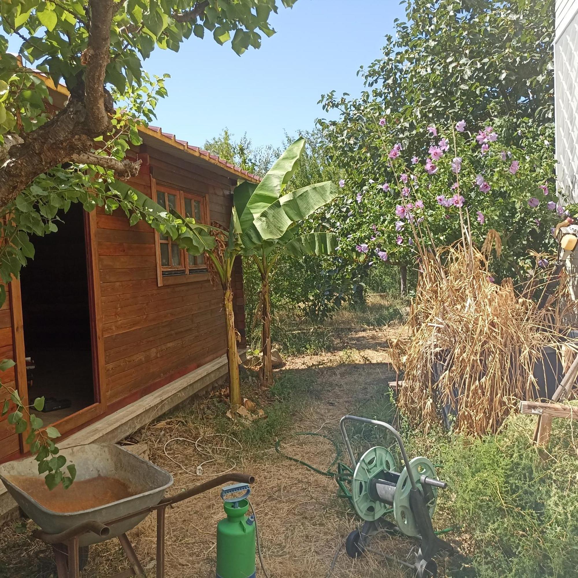 Ripe'S Forest Garden Guest House Рим Экстерьер фото